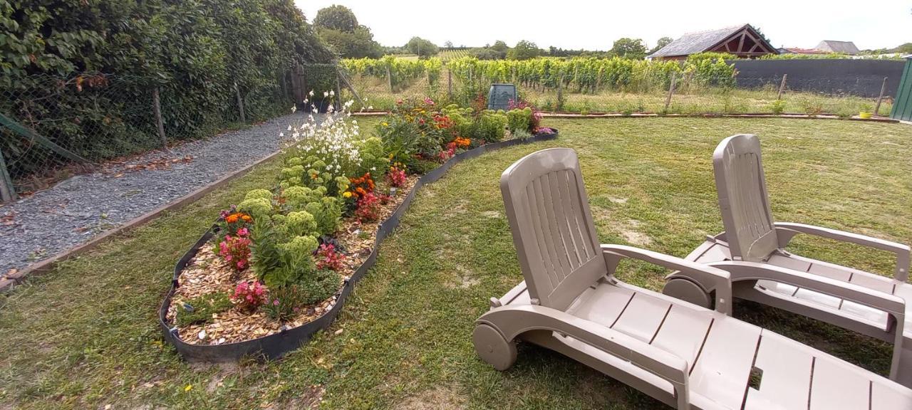 Hebergement Sarment Du Veron Chinon Villa Beaumont-en-Véron Eksteriør billede